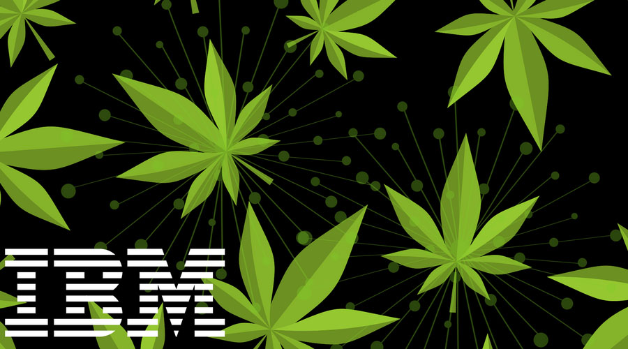 IBM:区块链可能用于追踪加拿大的*麻大**销售情况