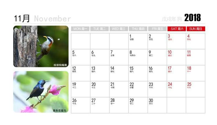 2018年鸟趣日历，太精美了，人手一份，值得收藏！