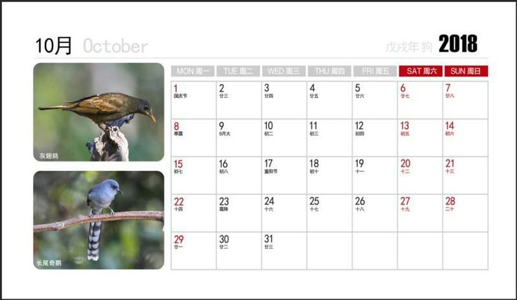 2018年鸟趣日历，太精美了，人手一份，值得收藏！