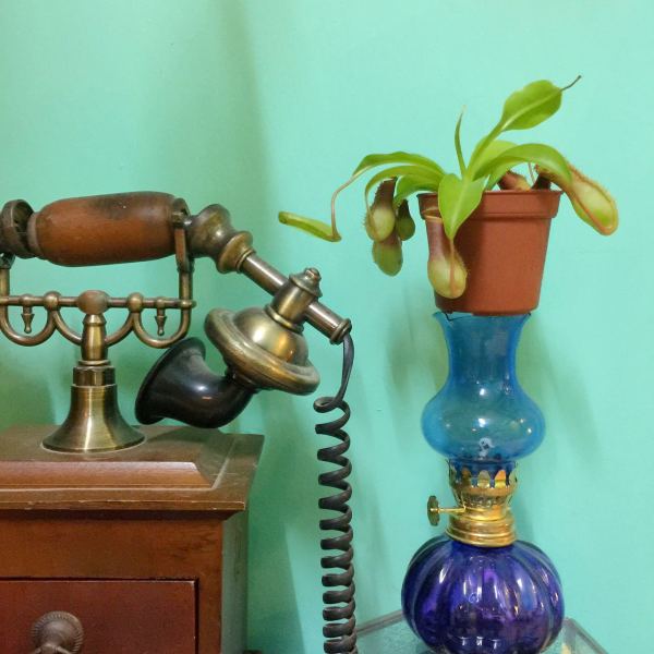 深圳有十几栋房子的90后女房东,90后女孩深圳租房