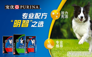 零食类宠物食品品牌排行榜前十名,中国宠物食品排行榜前十名