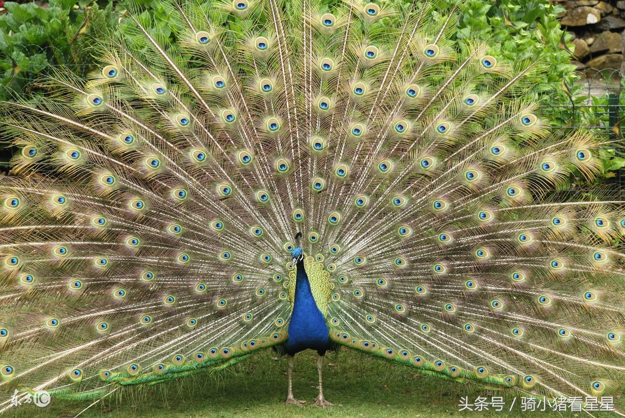 很有意思的心理测试,有趣的性格测试