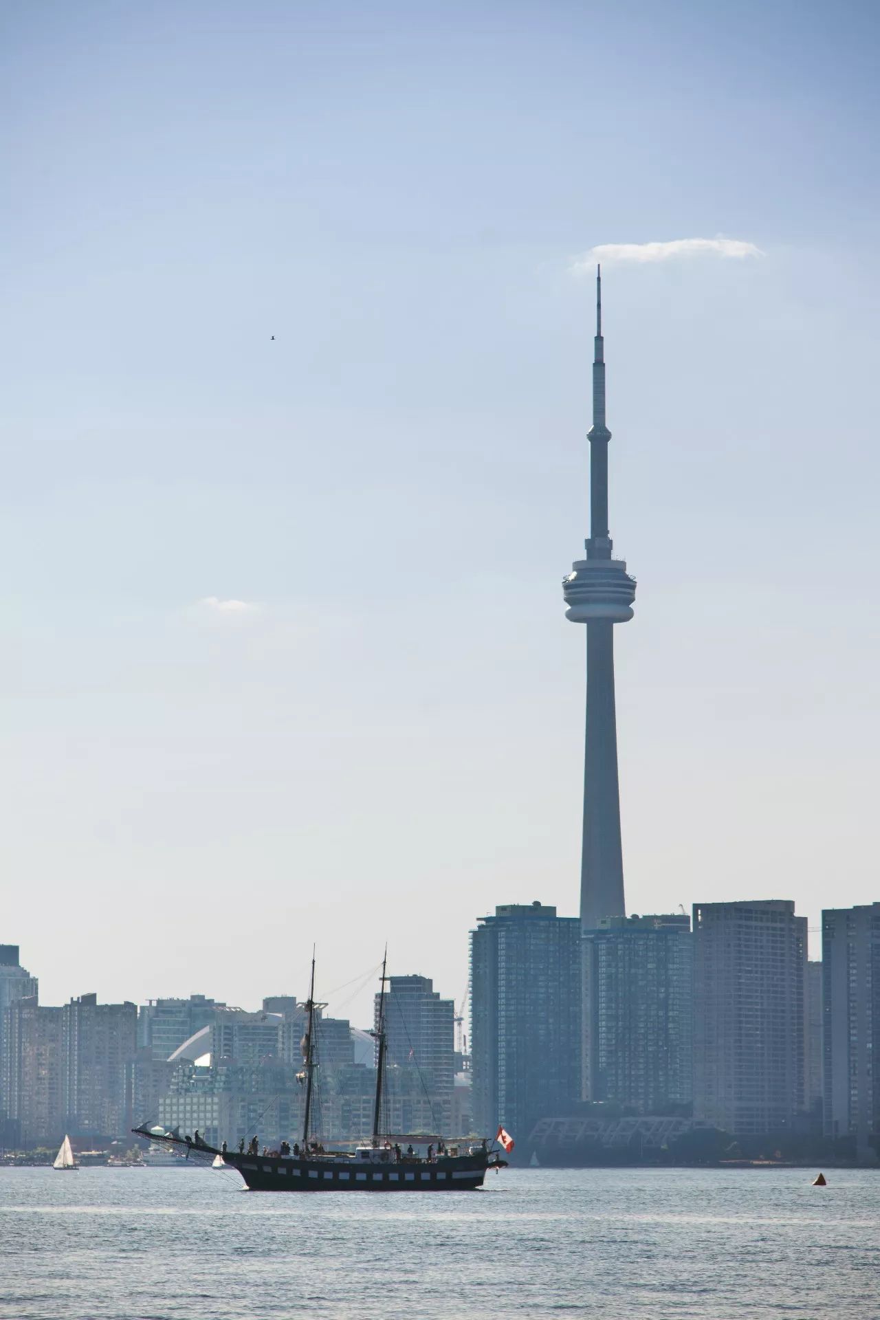 双十一规则太复杂?多伦多教你一个解决方案……