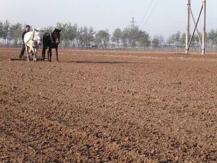 户口迁移到外省的土地确权怎么办,农村非农业户口土地确权政策