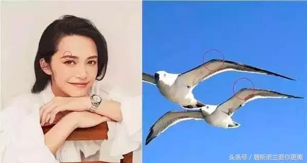 碧斯兰：这对海鸥眉，谁做谁美！