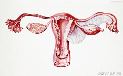 清理子宫垃圾需要人为处理吗？保养子宫需要注意哪些问题？