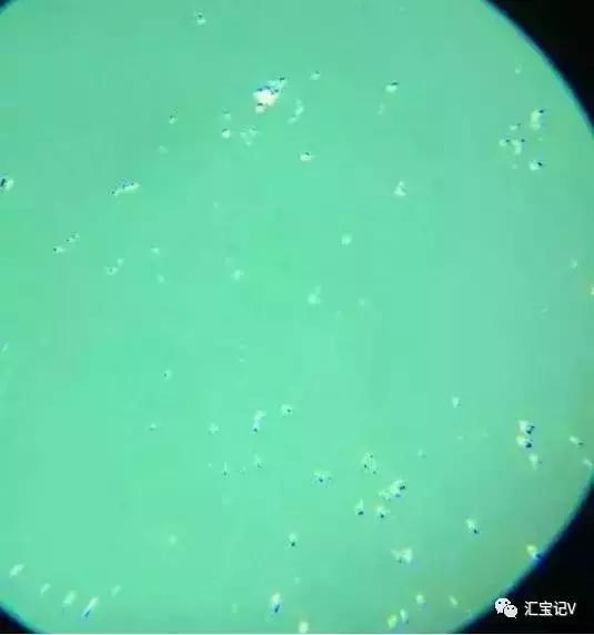 紫罗兰琥珀蜜蜡真假,琥珀蜜蜡紫光灯照真假