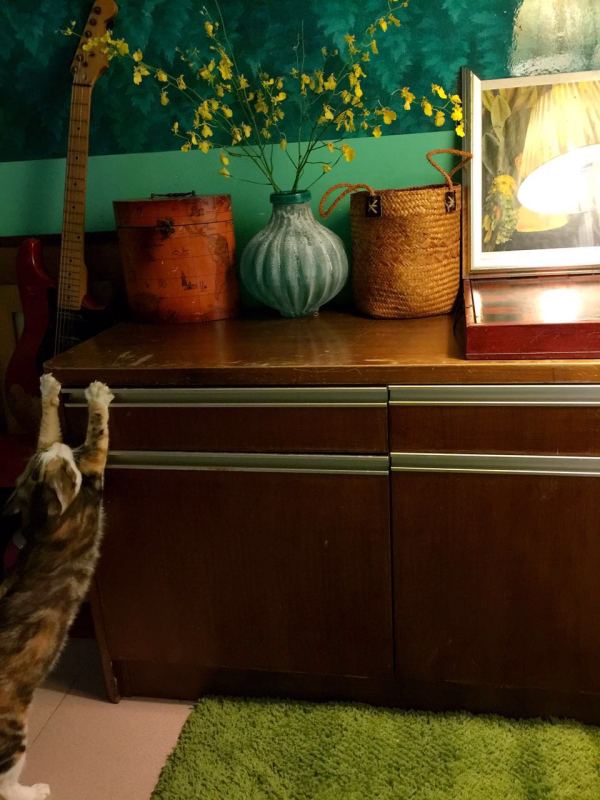 深圳有十几栋房子的90后女房东,90后女孩深圳租房