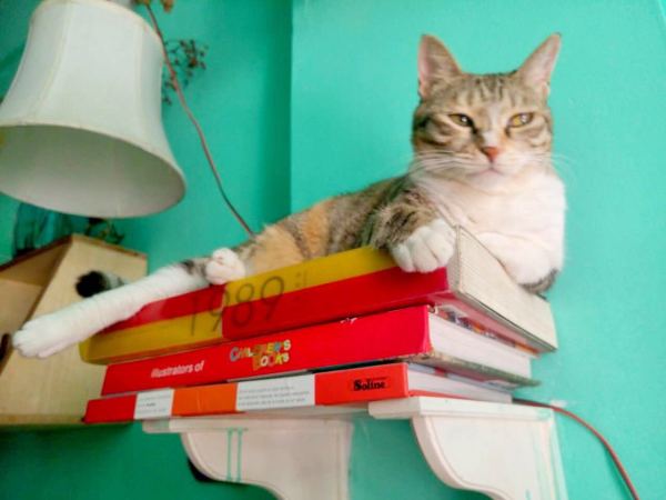 深圳有十几栋房子的90后女房东,90后女孩深圳租房