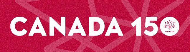 双十一规则太复杂？多伦多教你一个解决方案……