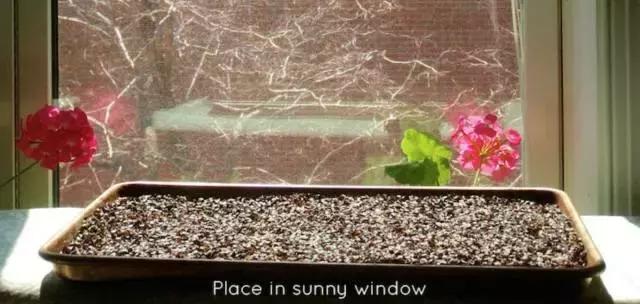 选对枕头,包你一觉睡到大天亮|双11扫货