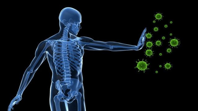 贞芪扶正胶囊如何提高免疫力,贞芪扶正胶囊抗肿瘤吗