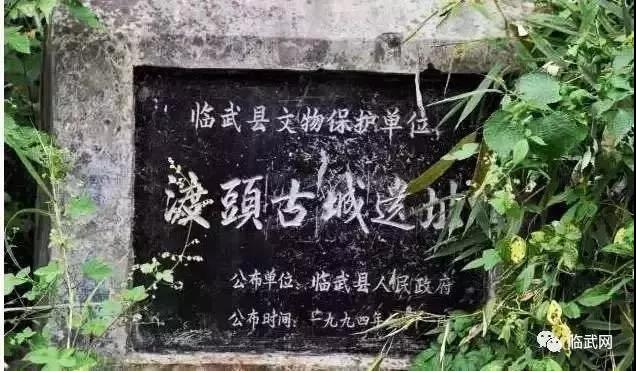 影者无疆完整版,影者无疆