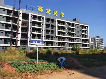 罗生门事件真假,罗生门事件真相曝光