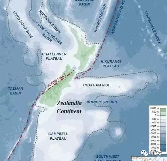 常见虾类区别图解,国内常见的虾类种类有哪些