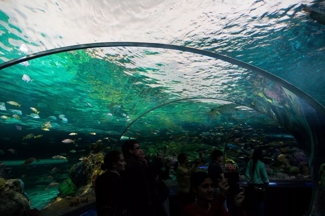 双十一规则太复杂?多伦多教你一个解决方案……
