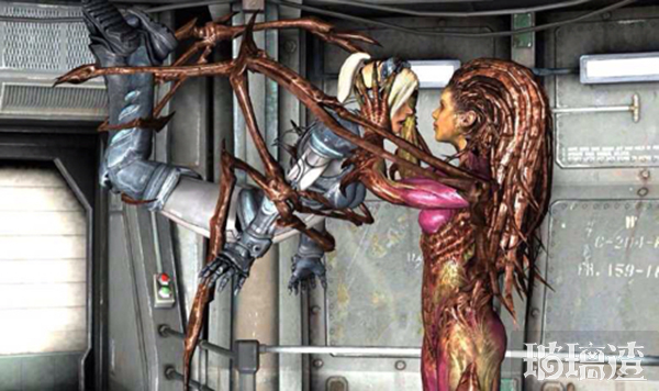 星际2国服免费,星际争霸2新赛季2019