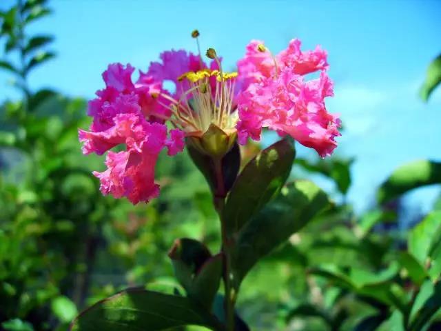 影者无疆完整版,影者无疆