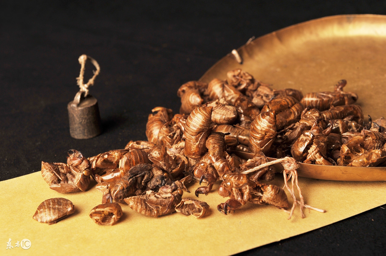 牛黄药材有哪些,中药的蝉蜕治什么病