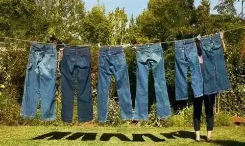 养好牛仔裤，做一个机智的养牛人！