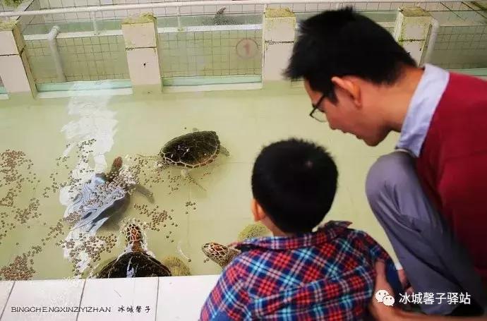 巽寮湾最美的海景,巽寮湾美丽的大海