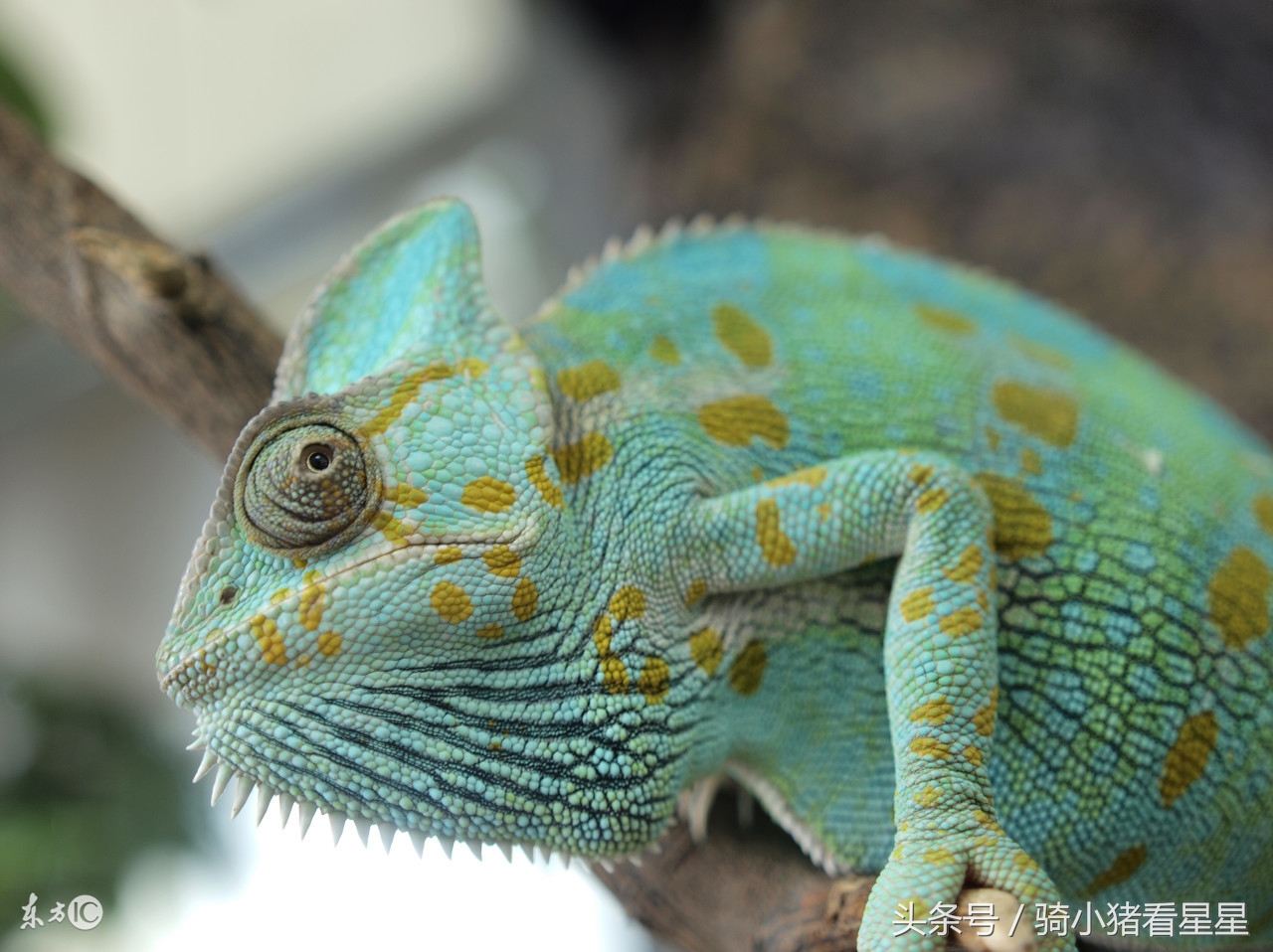 很有意思的心理测试,有趣的性格测试