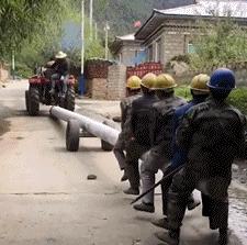 笑死人不偿命的二十二张图,笑死不偿命的女孩图片