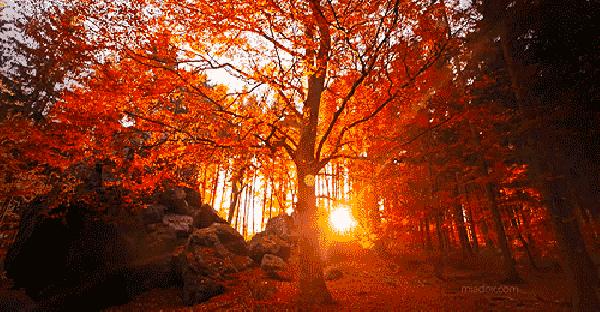 超火姨妈色口红不选肤色又显白,姨妈色口红显白吗