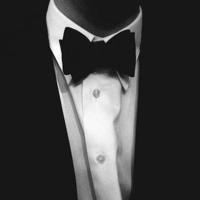 帅气黑白头像,黑白后脑勺图