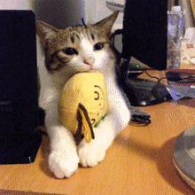 禁止携带或托运入境的物品,禁止携带入境的物品清单