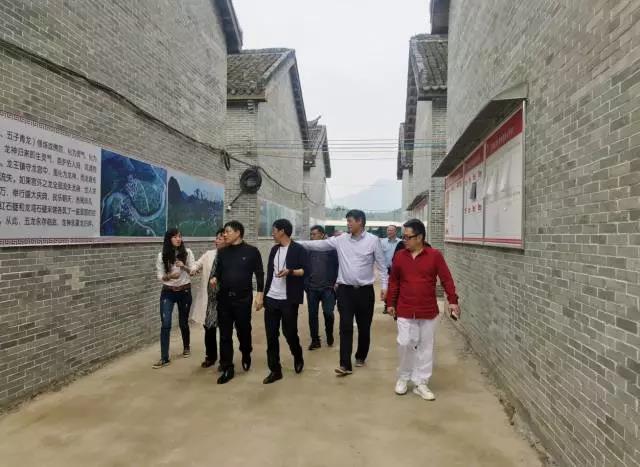 影者无疆完整版,影者无疆