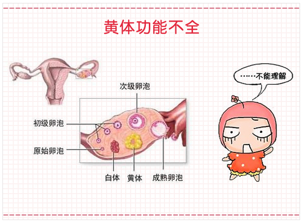 男性内分泌失调对生育的影响,防止内分泌失调平时要注意什么