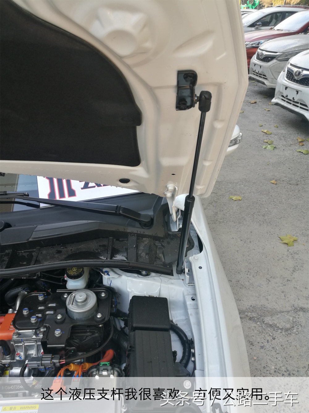 公路车沉浸式第一视角,公路车沉浸式欣赏