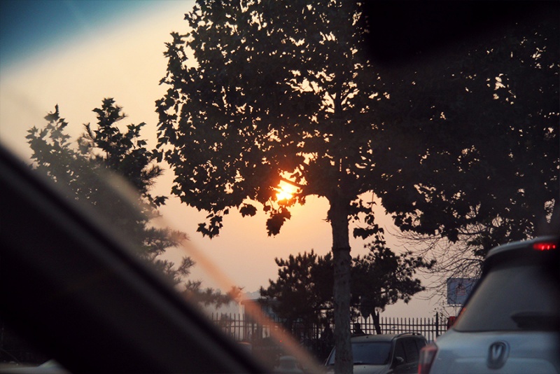 潮白河怪兽,潮白怪兽开箱