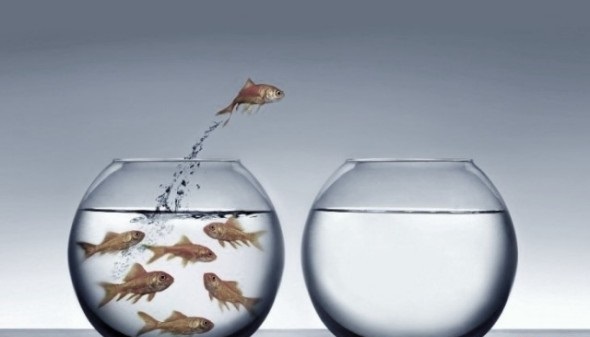 脚本引流为什么没效果了,脚本引流哪些好用