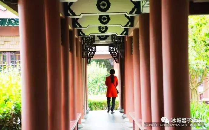 巽寮湾最美的海景,巽寮湾美丽的大海