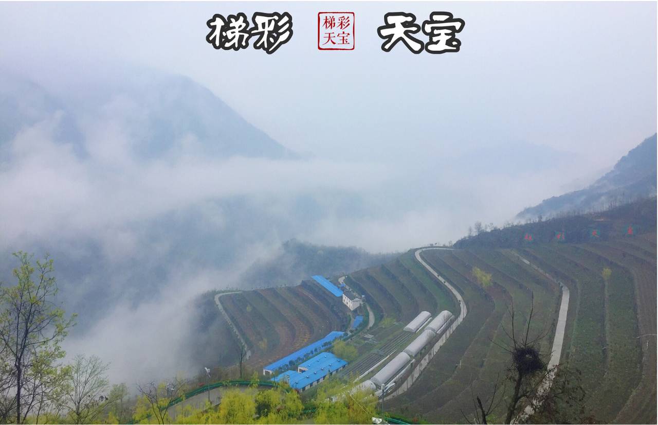 大家好,给大家介绍下,这是我的家乡仓上