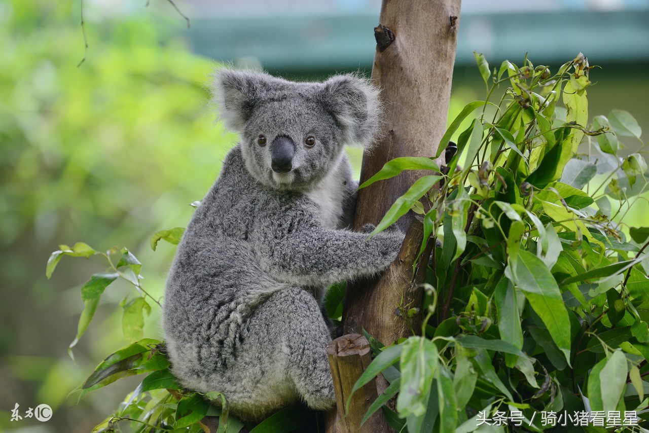 很有意思的心理测试,有趣的性格测试