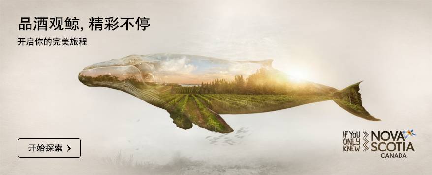 双十一规则太复杂?多伦多教你一个解决方案……