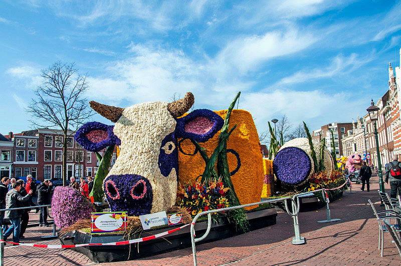 手把手教你创意农业,千万别小看创意农业