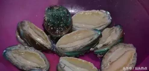 潮汕的水果有哪几种,潮汕特色野果是什么水果