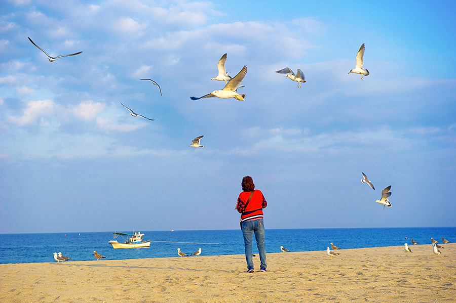 韩国女生街头小吃摆摊,广州韩国炸鸡摆地摊