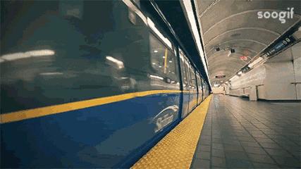 禁止携带或托运入境的物品,禁止携带入境的物品清单