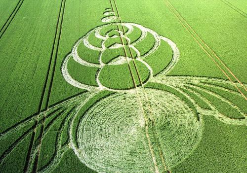 手把手教你创意农业,千万别小看创意农业