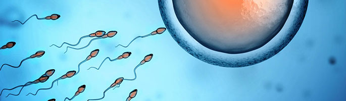 男性内分泌失调对生育的影响,防止内分泌失调平时要注意什么