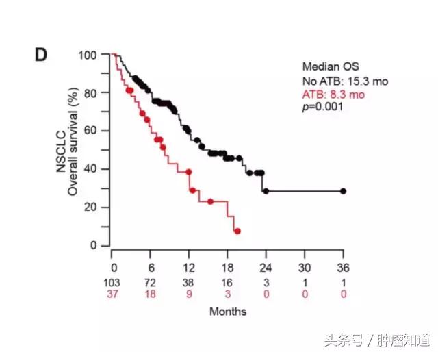 肠道细菌与癌症的关系,肠道细菌还可以抗抑郁是真的吗