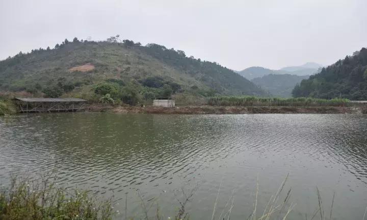 树立脱贫榜样传递扶贫力量,扶贫扶志自强不息