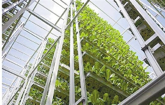 手把手教你创意农业,千万别小看创意农业