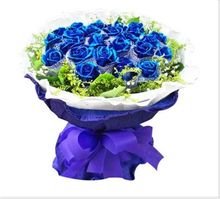 玫瑰花语11朵代表什么,玫瑰花语图片大全