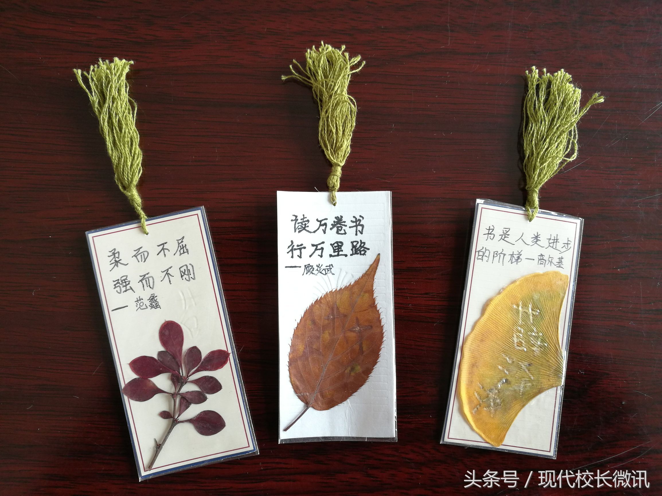 浙风十里主题书签手工制作小学,梅园书签制作小学生